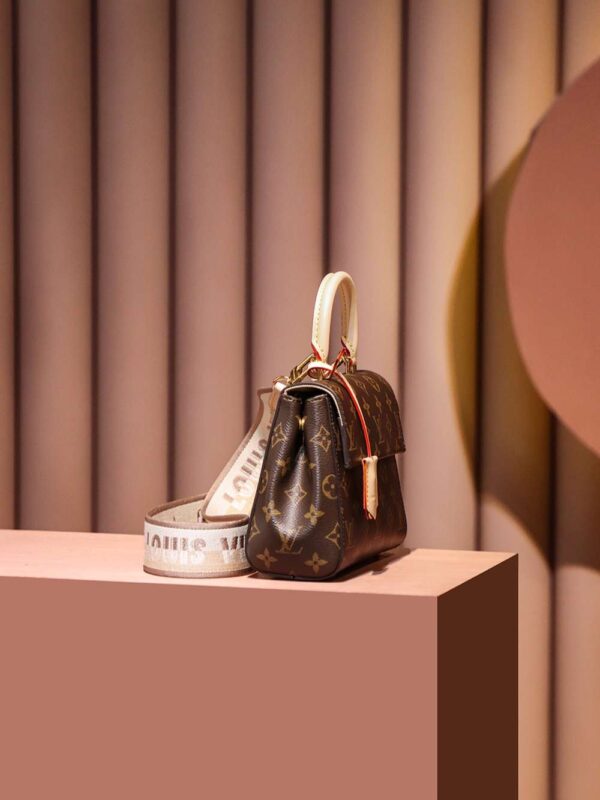 1:1 Replica Louis Vuitton LV Cluny Mini Brown Essential Bag For Women M46055 - 20cm / 7.9in