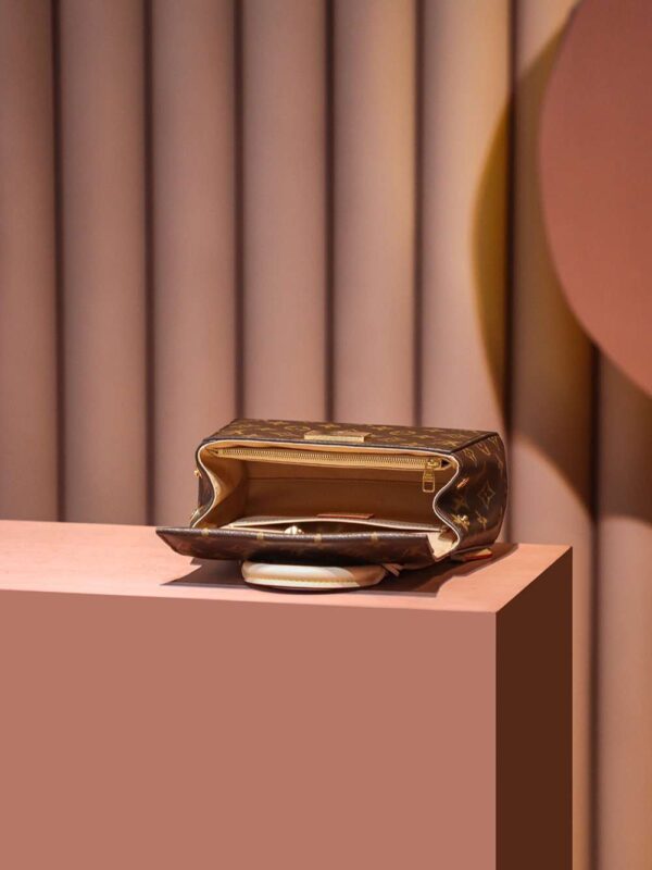 1:1 Replica Louis Vuitton LV Cluny Mini Brown Essential Bag For Women M46055 - 20cm / 7.9in