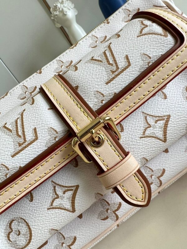 1:1 Replica Louis Vuitton LV Maxi Multi Pochette Accessories Luxury Bag For Women M20920 - 9.3in/27cm