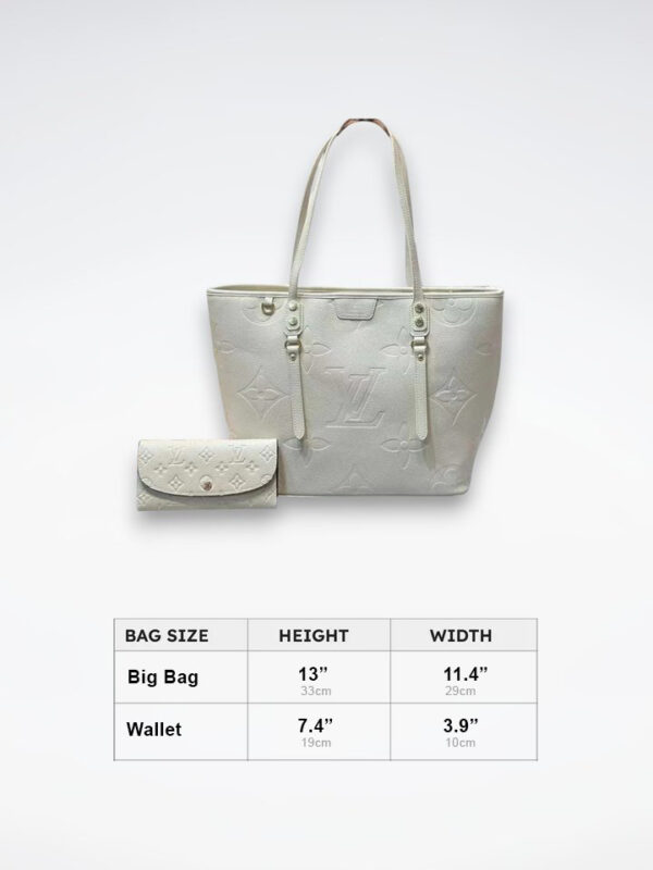 DBS-LC361 - Discounted Price For Set 2 Bags