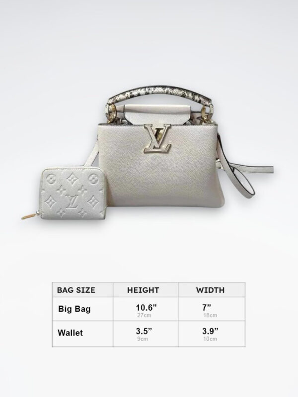 DBS-LC409 - Discounted Price For Set 2 Bags