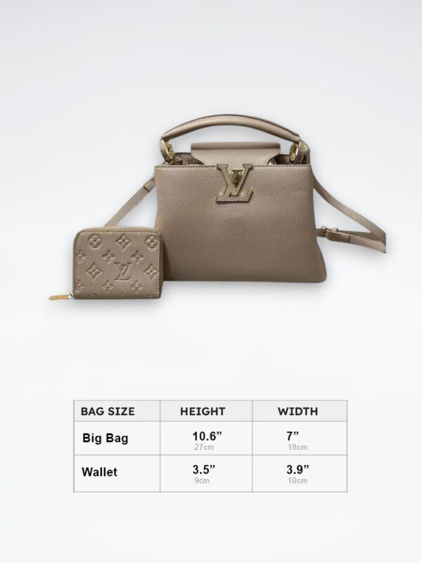 DBS-LC410 - Discounted Price For Set 2 Bags