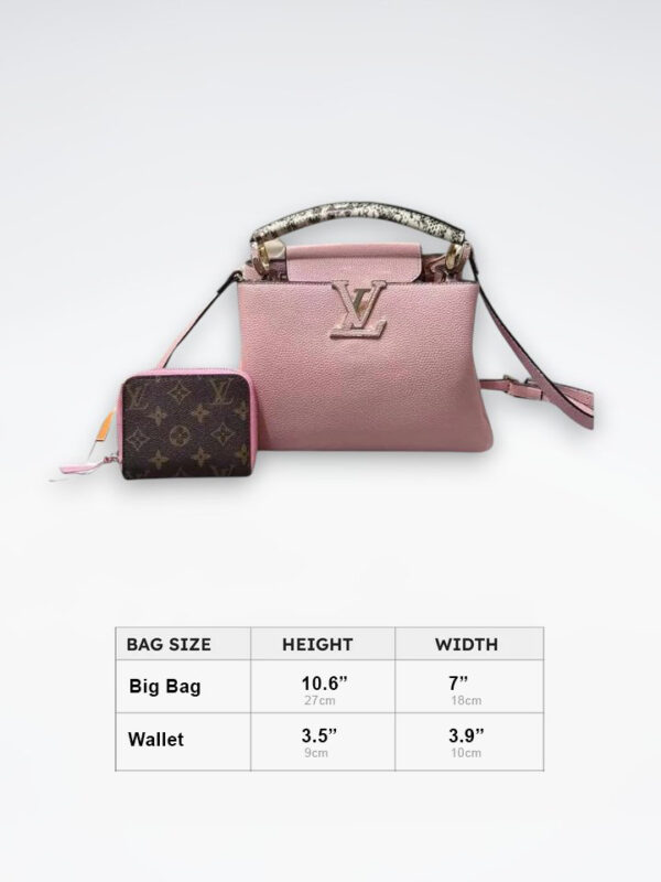 DBS-LC411 - Discounted Price For Set 2 Bags