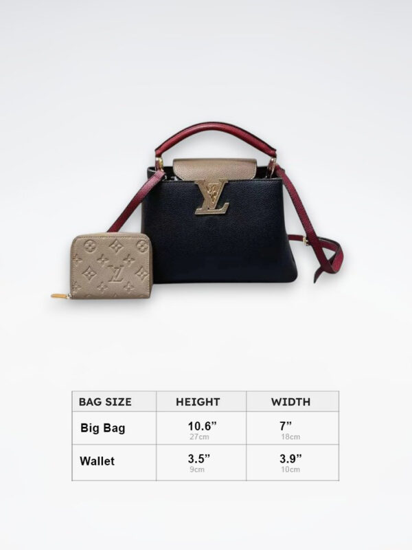 DBS-LC412 - Discounted Price For Set 2 Bags