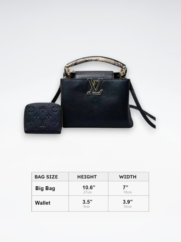 DBS-LC413 - Discounted Price For Set 2 Bags
