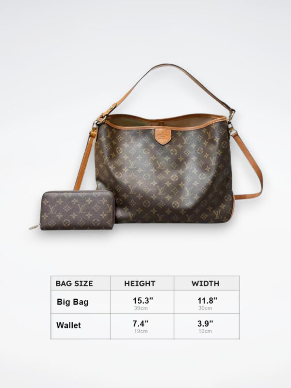 DBS-LC896 - Delightful Handbag Deal
