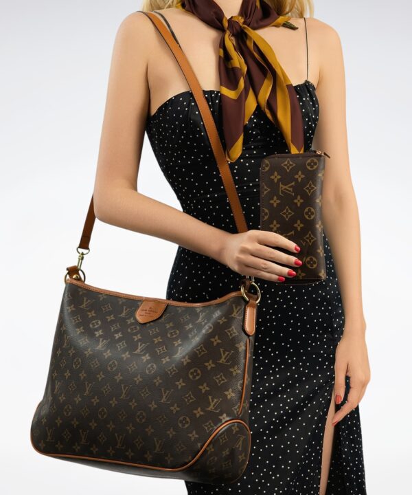 DBS-LC896 - Delightful Handbag Deal