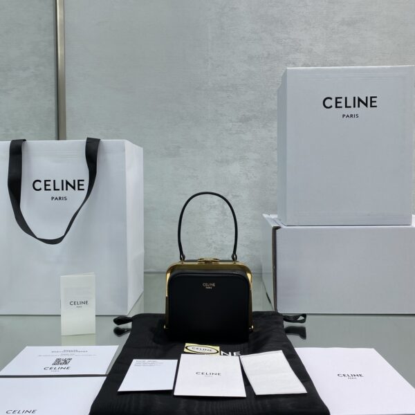 1:1 Replica Celine Triomphe Minaudiere In Triomphe Canvas Brown For Women 4in/10cm