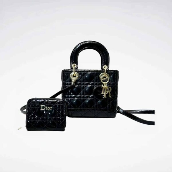 DBS-LC658 - Discounted Price For Set 2 Bags
