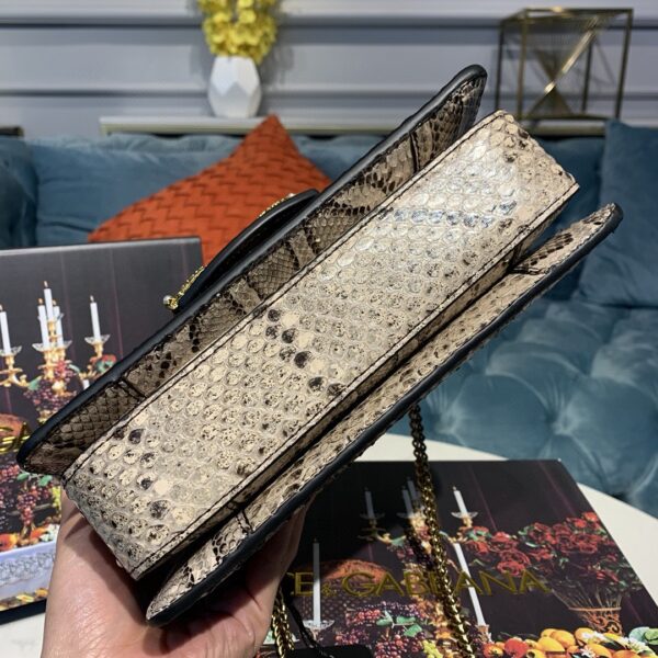 Dolce & Gabbana Medium DG Bag In Printed Solid Pattern Muticolour For Women 9in/23cm DG