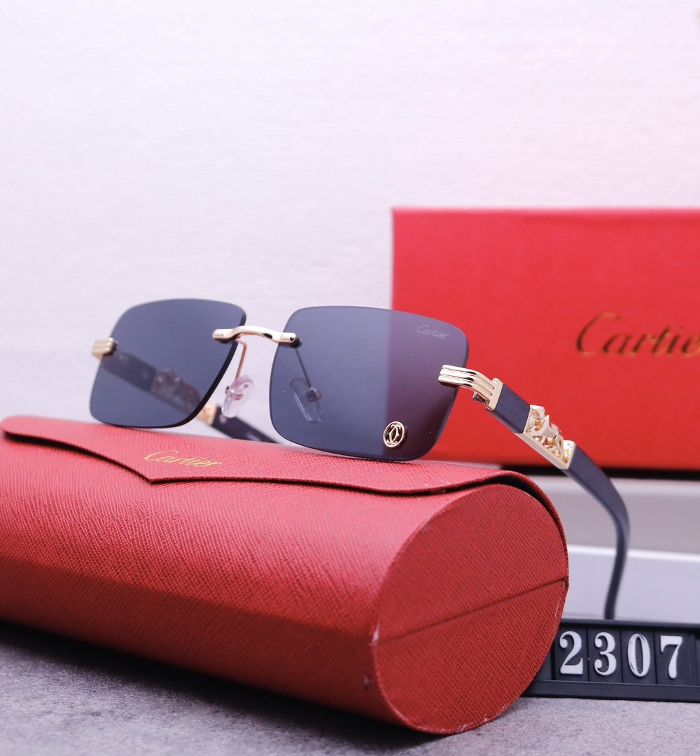 Catier Travel Sunglasses