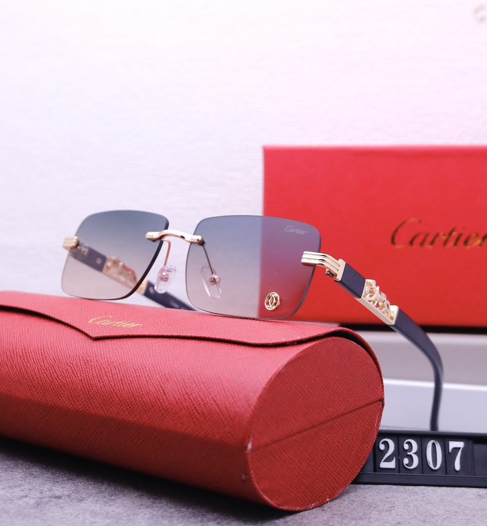 Catier Travel Sunglasses