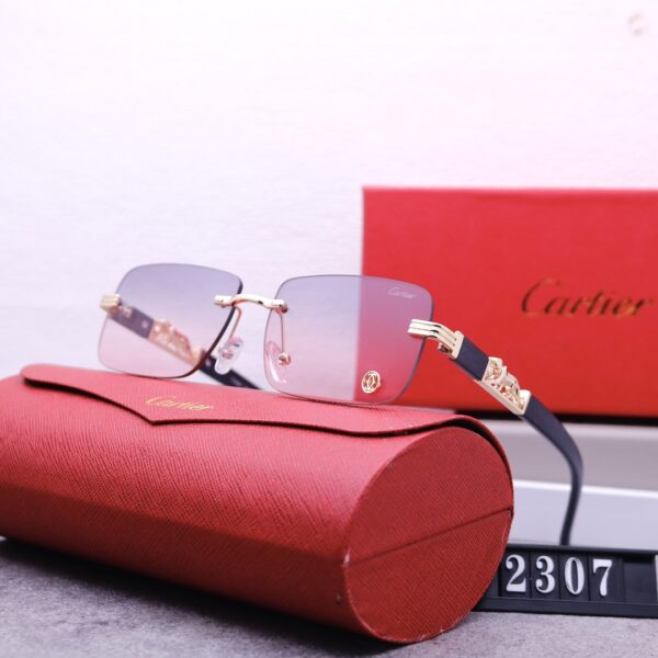 Catier Travel Sunglasses