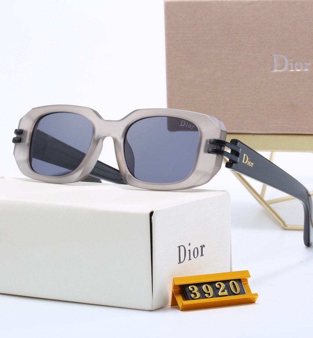 Dior Travel Sunglasses