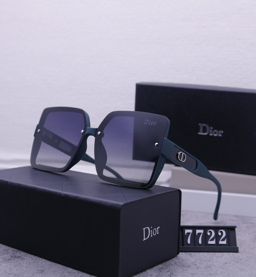 Dior Travel Sunglasses