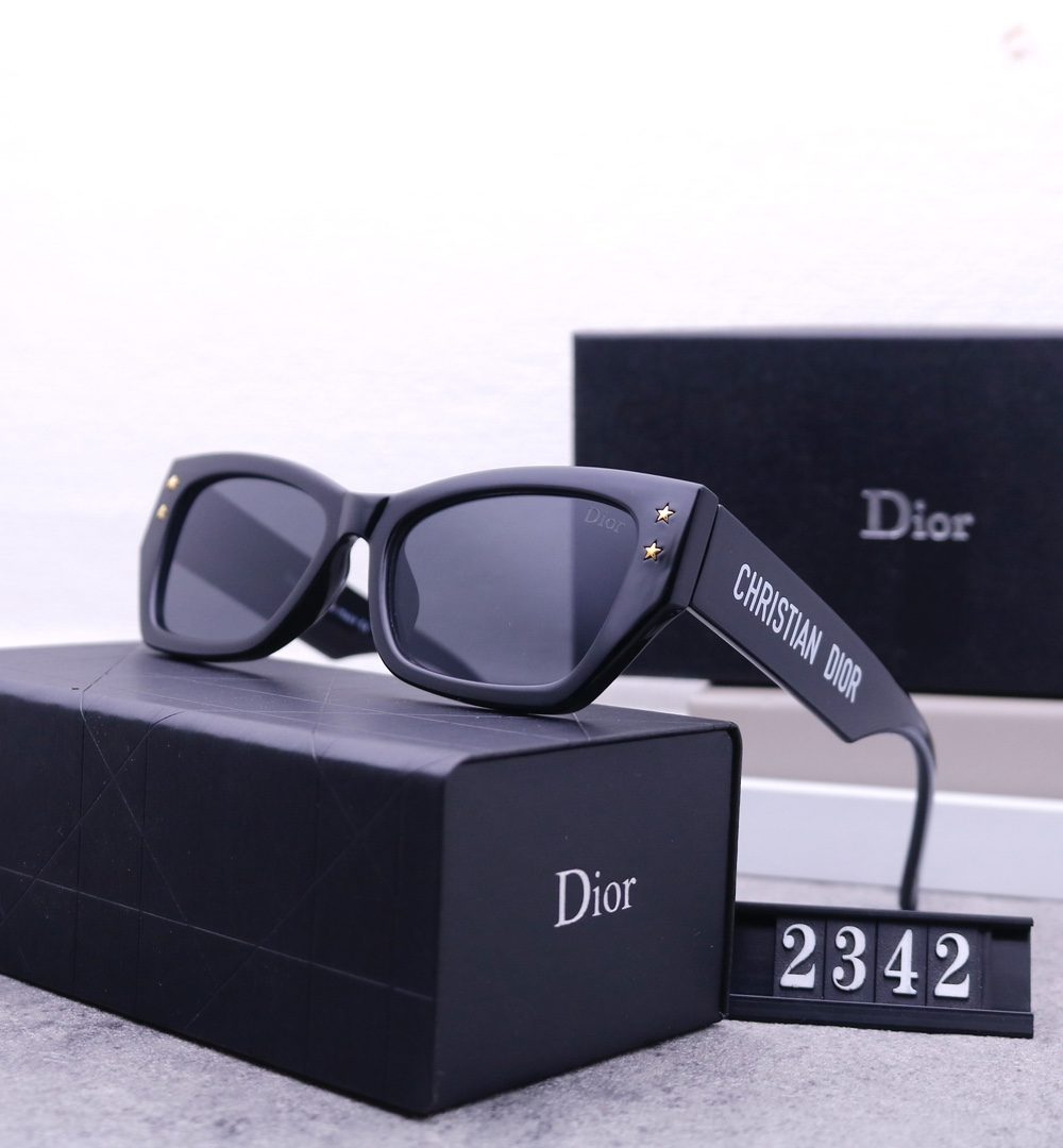 Dior Travel Sunglasses
