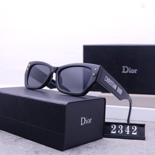 Dior Travel Sunglasses