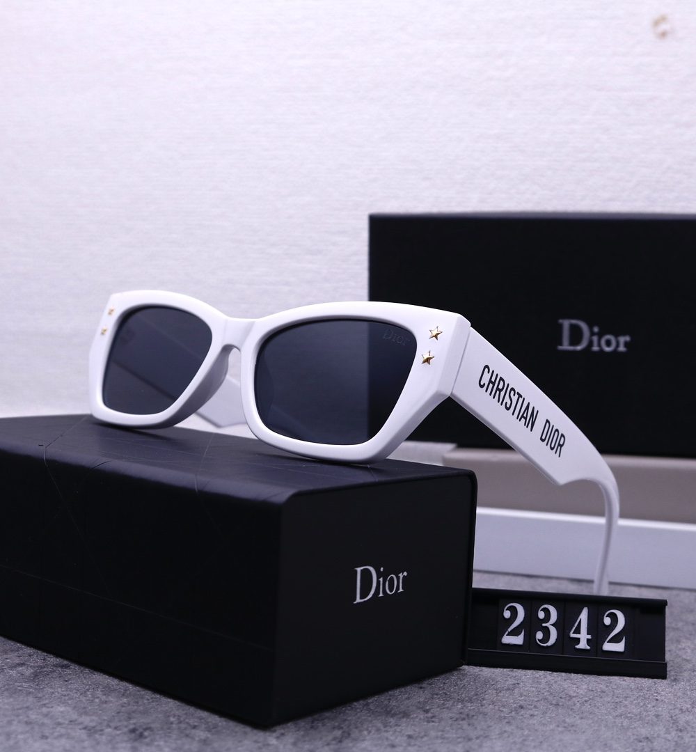 Dior Travel Sunglasses