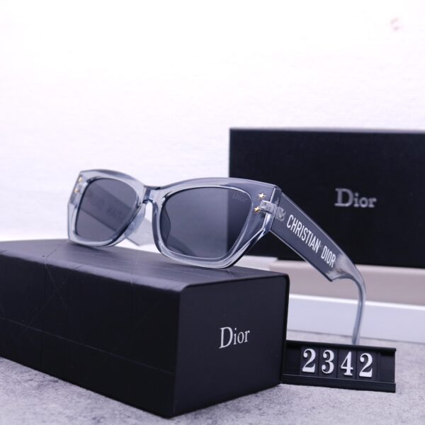 Dior Travel Sunglasses