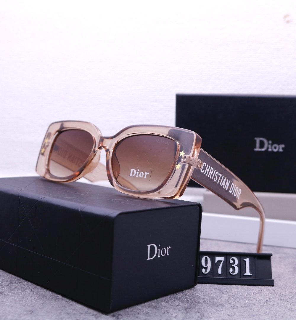 Dior Travel Sunglasses