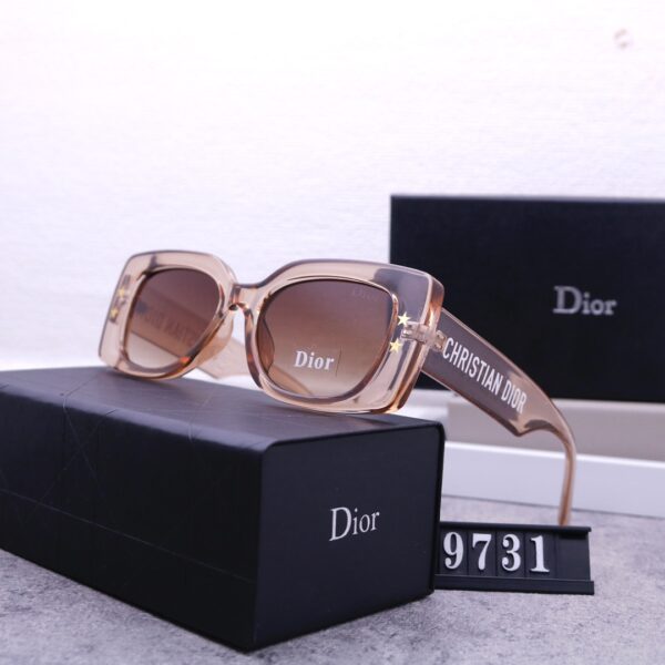 Dior Travel Sunglasses
