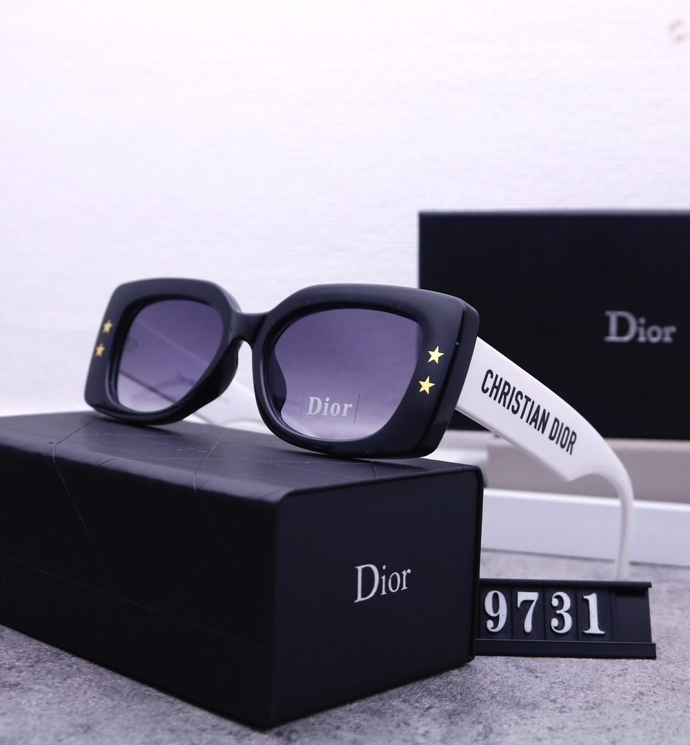 Dior Travel Sunglasses