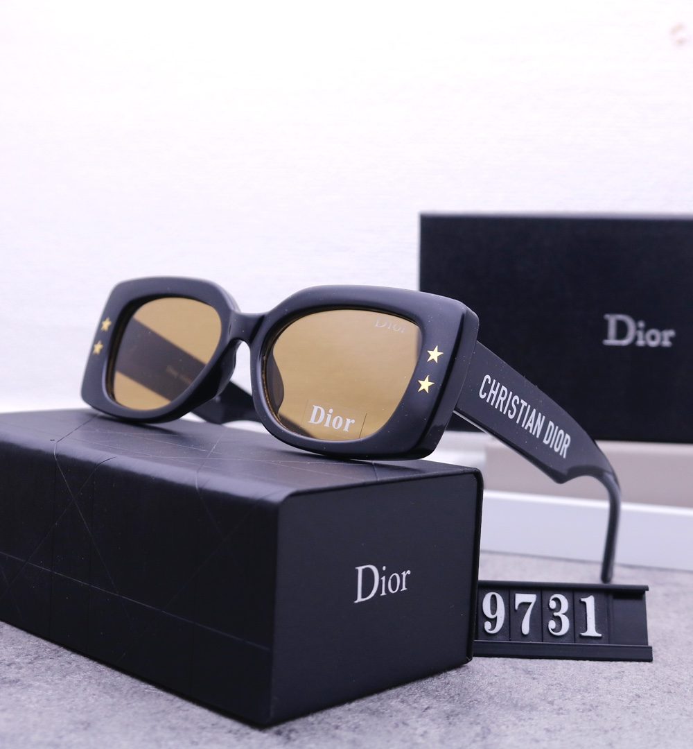 Dior Travel Sunglasses
