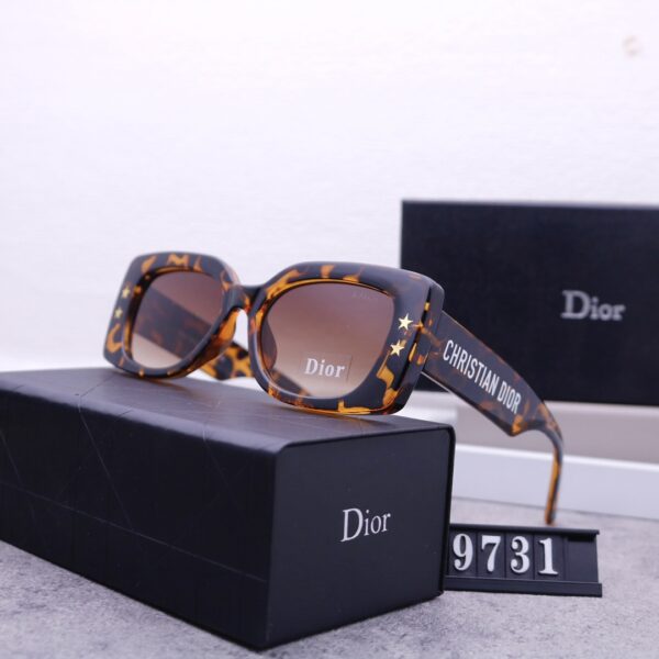 Dior Travel Sunglasses