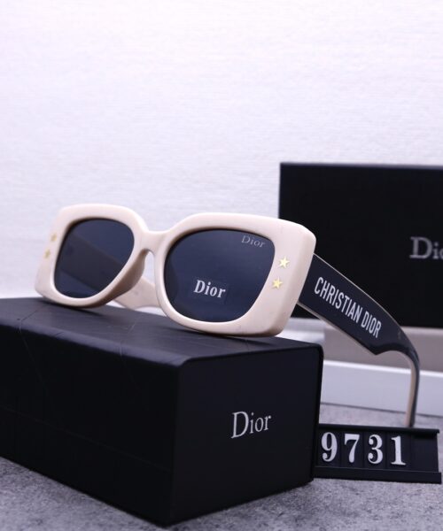 Dior Travel Sunglasses