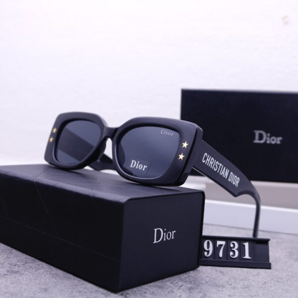 Dior Travel Sunglasses