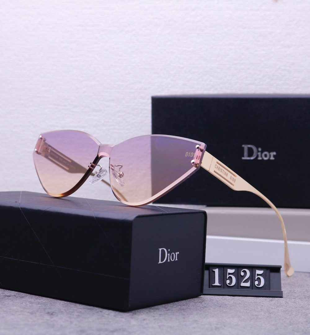 Dior Travel Sunglasses