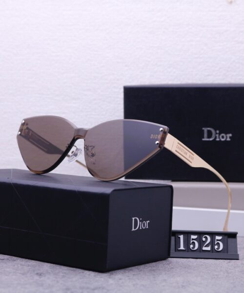 Dior Travel Sunglasses