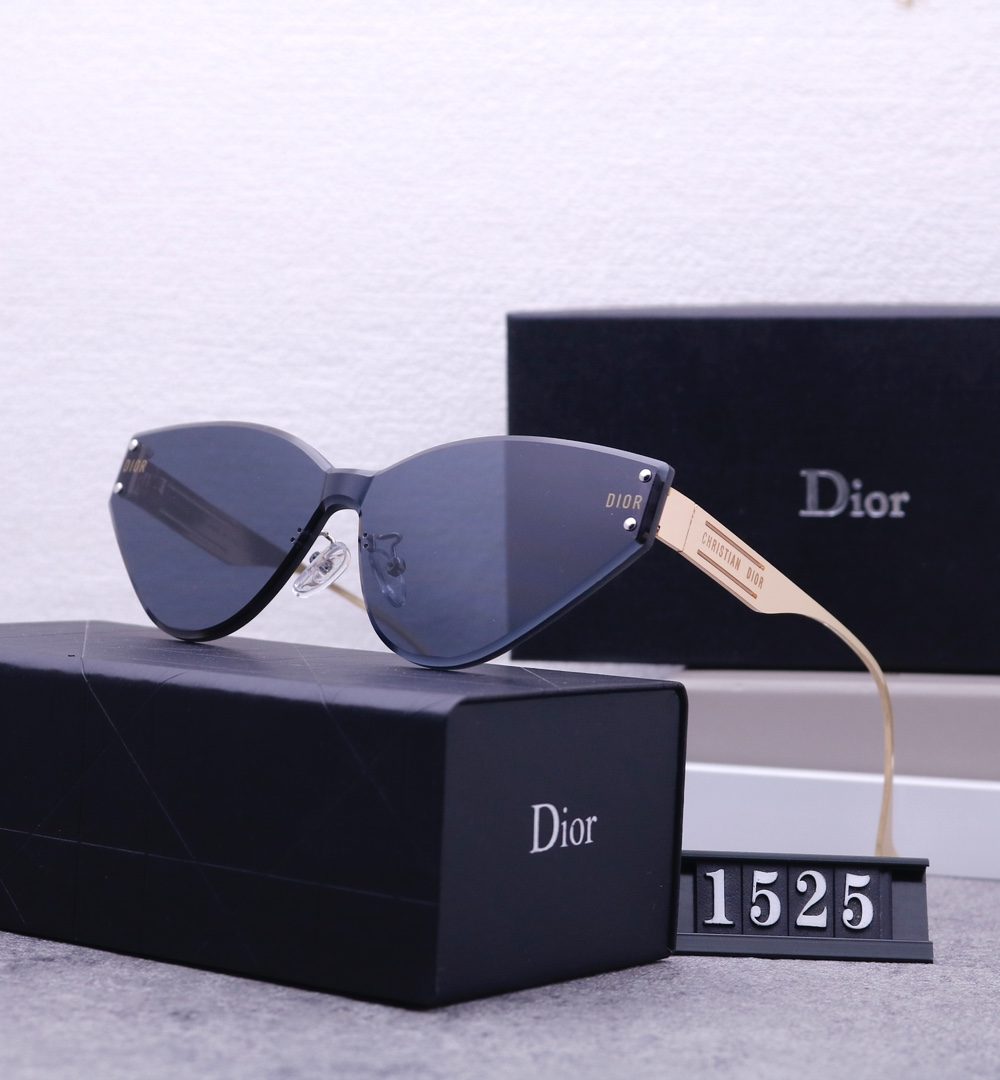 Dior Travel Sunglasses