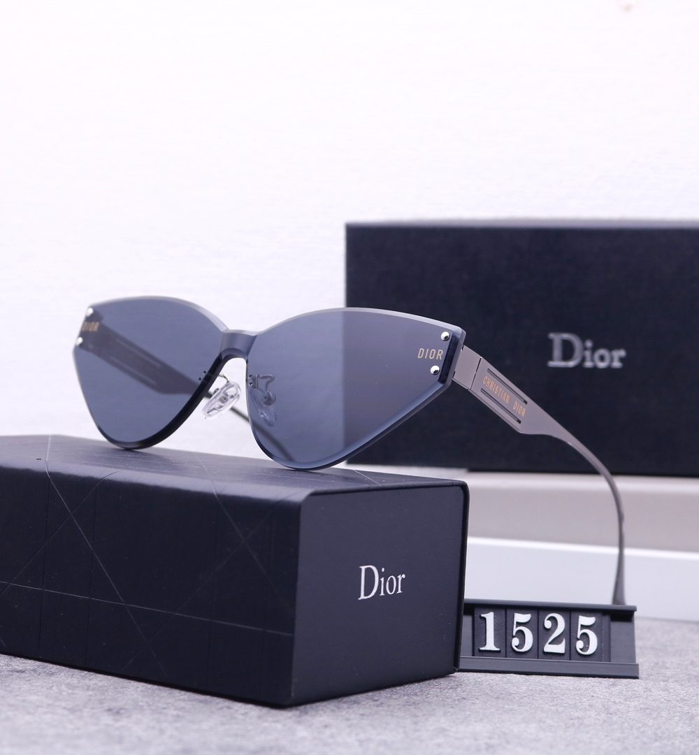 Dior Travel Sunglasses