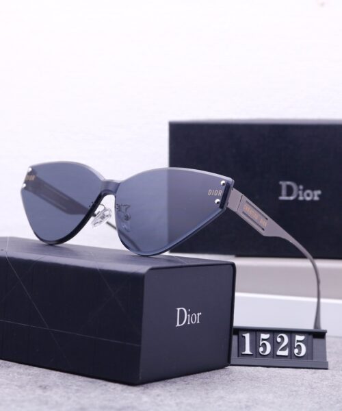 Dior Travel Sunglasses