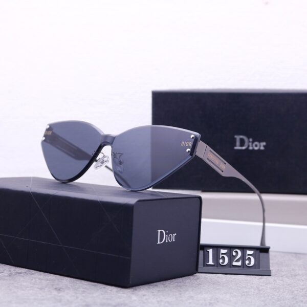 Dior Travel Sunglasses