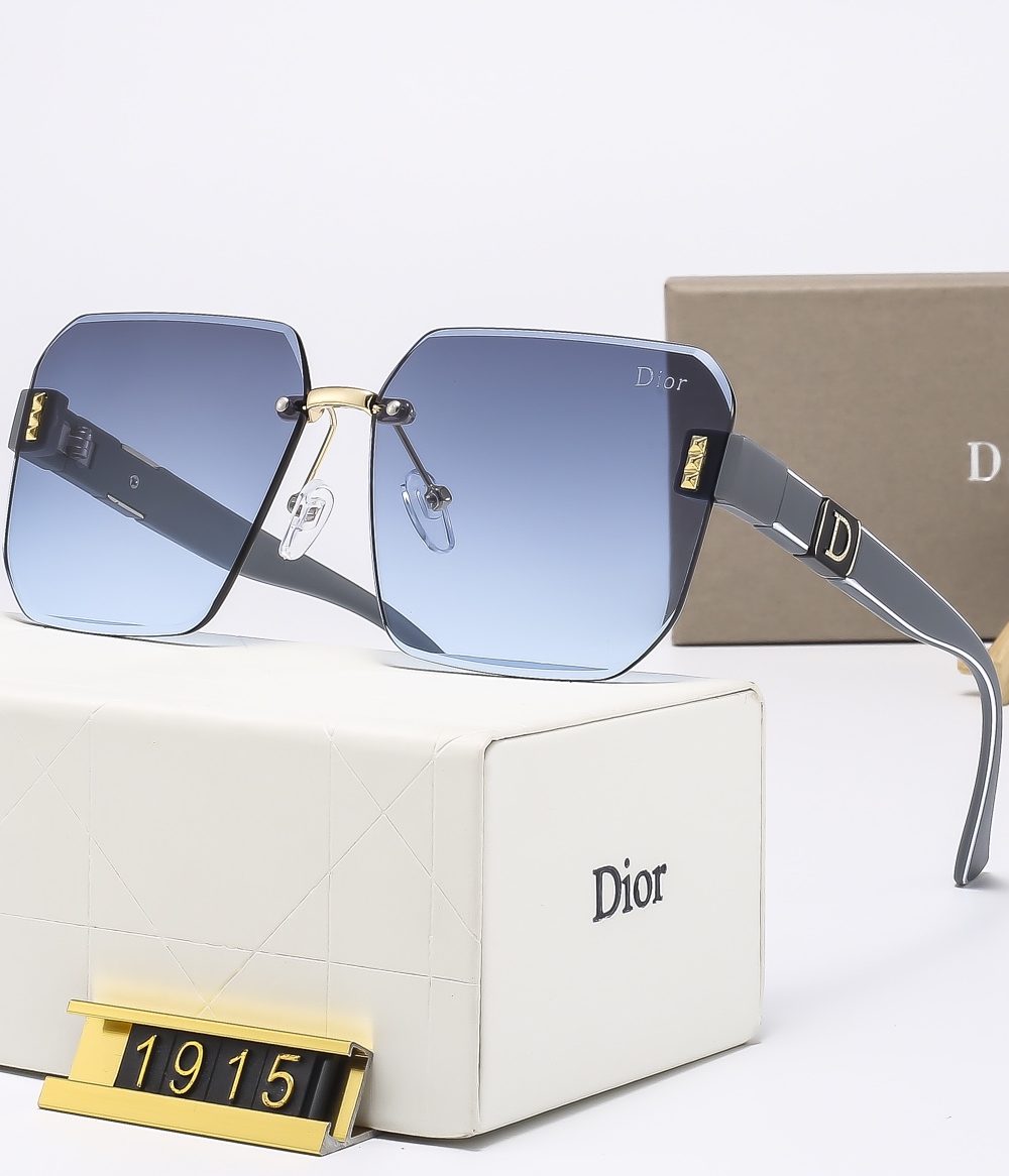 Dior Travel Sunglasses