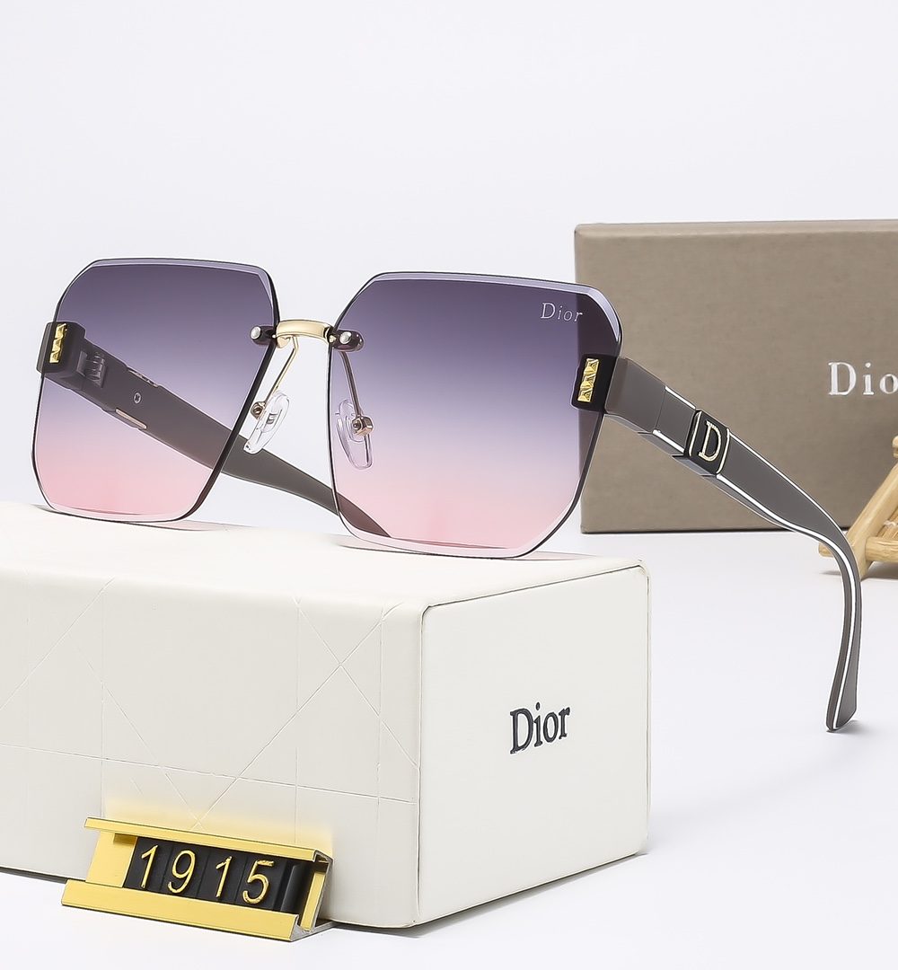 Dior Travel Sunglasses