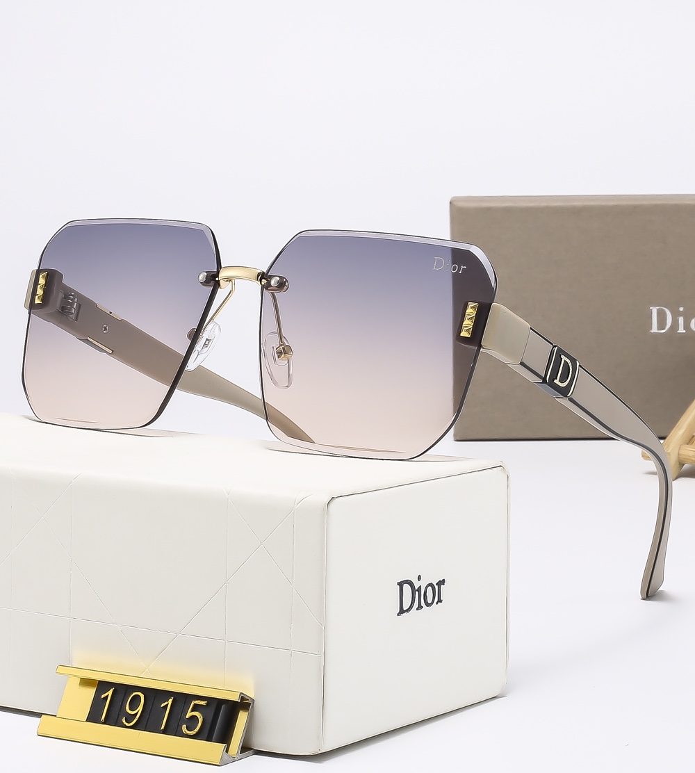 Dior Travel Sunglasses