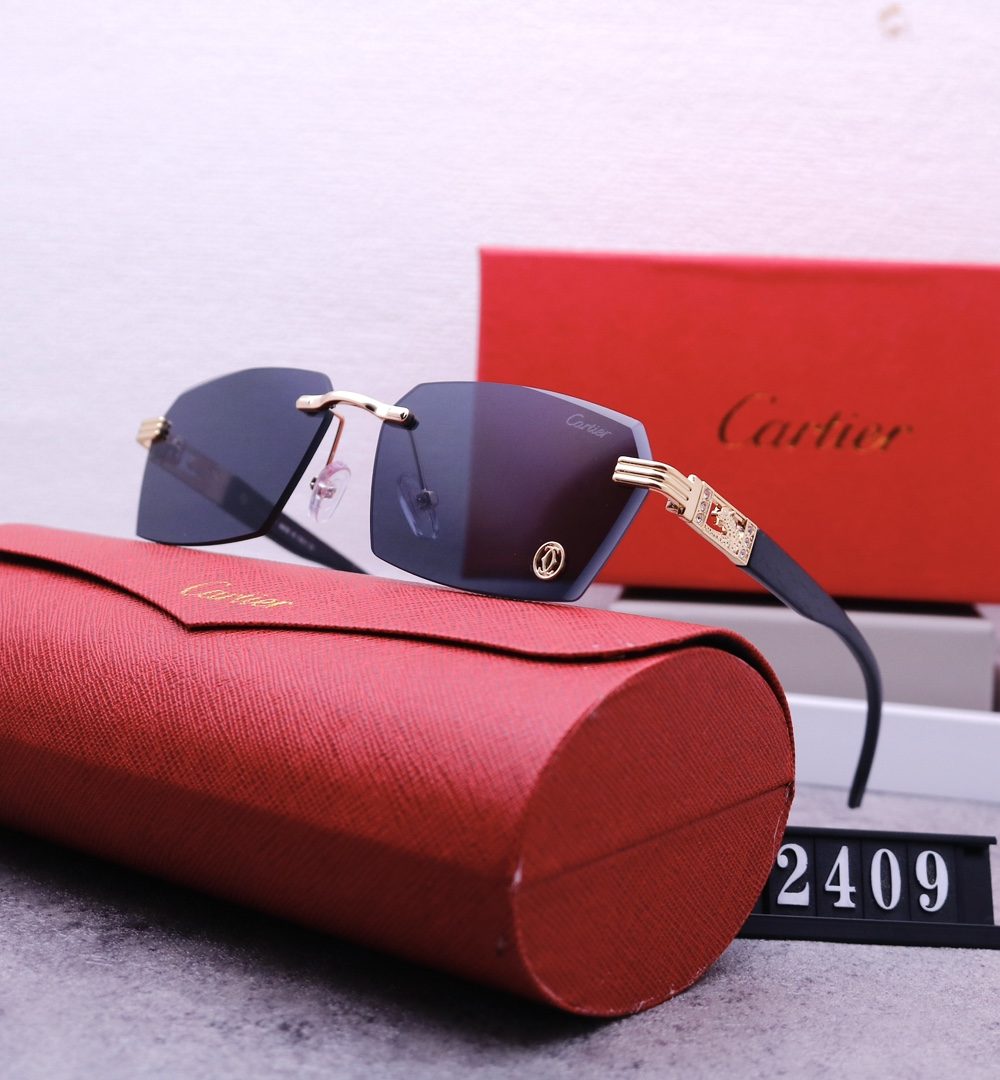 Catier Travel Sunglasses