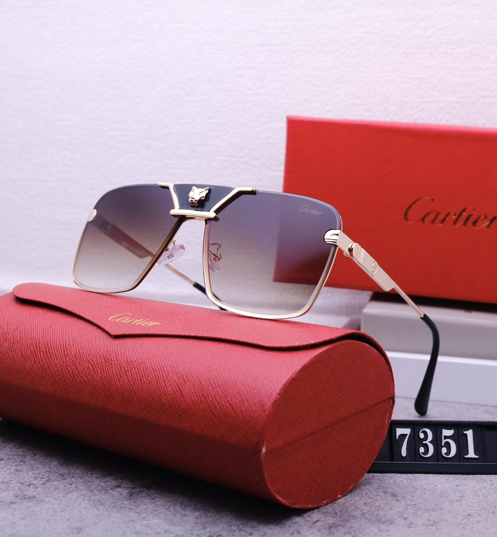 Catier Travel Sunglasses