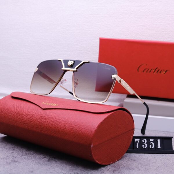 Catier Travel Sunglasses