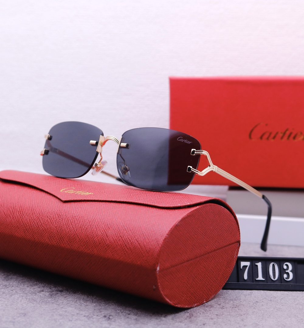 Catier Travel Sunglasses