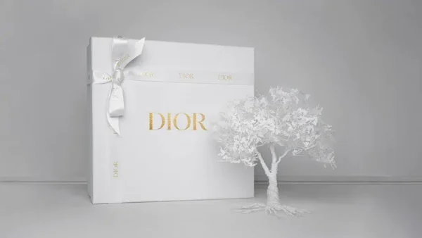 Dior Packaging Box - Perfect for Gifting