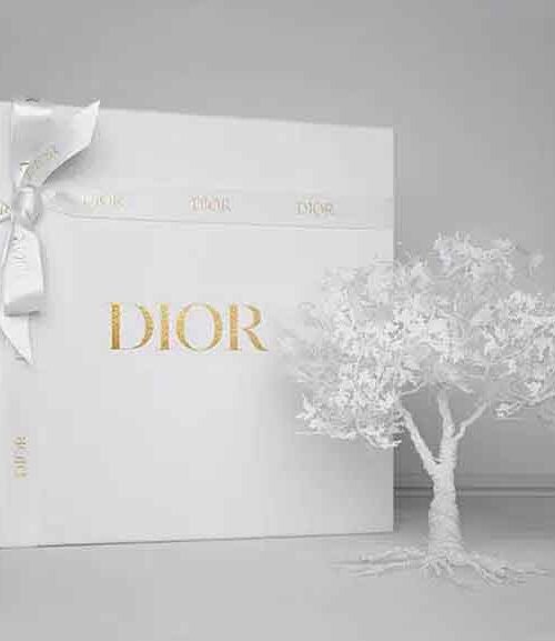 Dior Packaging Box - Perfect for Gifting