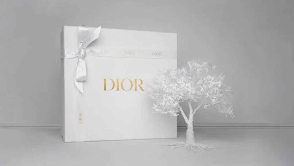 Dior Packaging Box - Perfect for Gifting